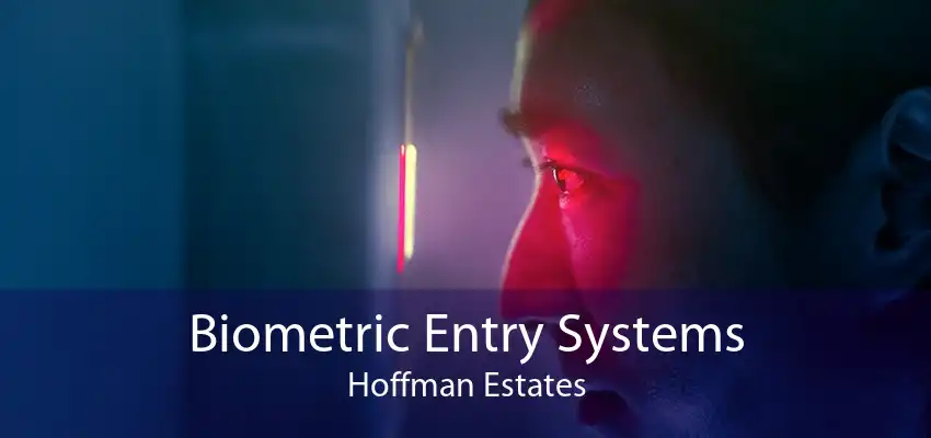 Biometric Entry Systems Hoffman Estates
