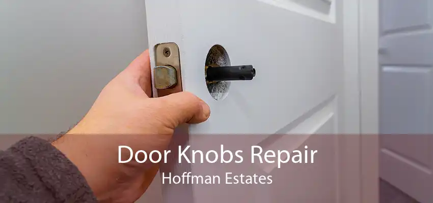 Door Knobs Repair Hoffman Estates