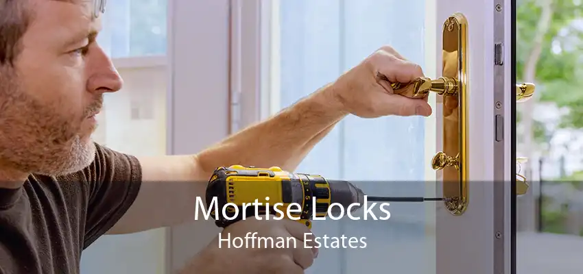 Mortise Locks Hoffman Estates